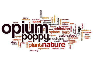 Fototapeta premium Opium word cloud