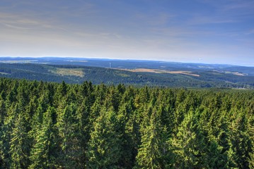 Der Thüringer Wald