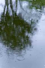 Tree shadow in surface waves in toxic water, sewage, pollution's