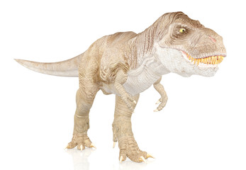 Tyrannosaurus Rex, Dinosaur isolated on white background