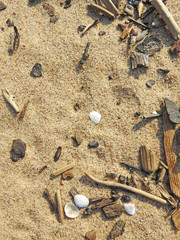 Abstract texture in cold colors of sand