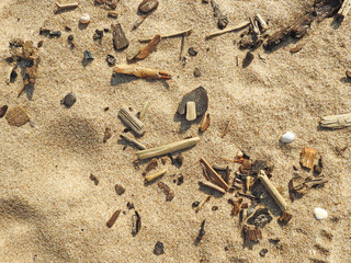 Abstract texture in cold colors of sand