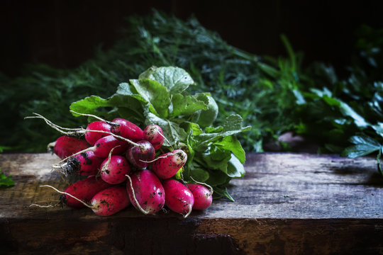 Bunch of dirty radishes with leaves, dug out of the ground, dark