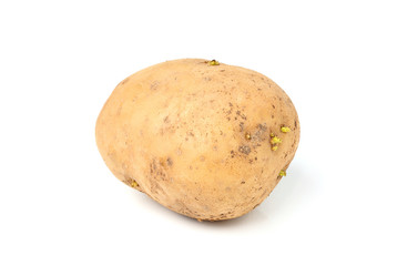 Raw potatoes isolated  closeup.