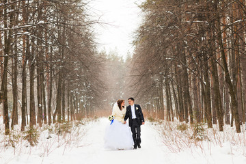 bride and groom on a winter park