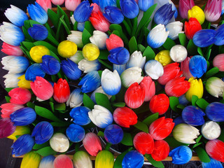 insieme di tulipani di legno di molti colori 