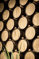 Fototapeta premium Wine barrels