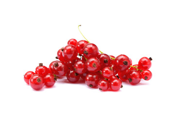 Fresh red currant isolated on white background
