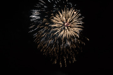 Fototapeta premium Brightly colorful fireworks and salute of various colors in the