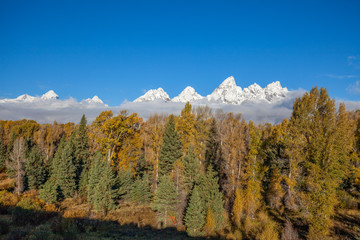 Snow Capped Tetons in Fall