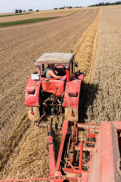 Farmer harvesting wheat rows on countryside field