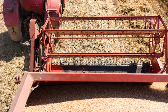 Farmer harvesting wheat rows on countryside field