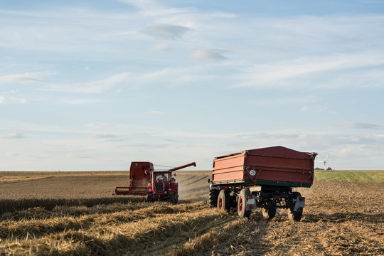Farmer adjusting combine trailer during grain harvest in front of blue skies