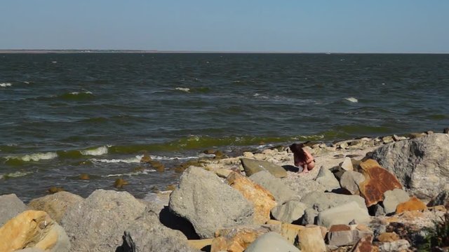 Girl collecting seashells on the beach