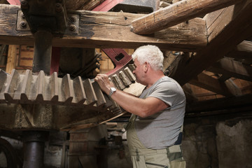 Senior miller checking large mechanic gearwheels in truss of windmill