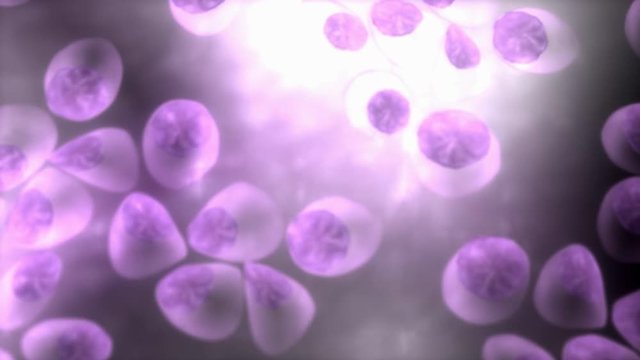 Computer generated, Plasma cells	