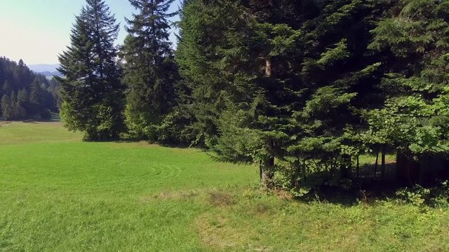 Panorama from Pieniny to Czorsztyn Lake and Tatra Mountains - Poland. View from above.