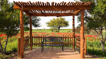 Bench in Texas Flower Garden