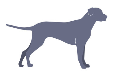 Dog silhouette on a white background