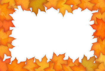 Autumn maple leaves frame
