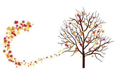 Naklejka premium Autumn
