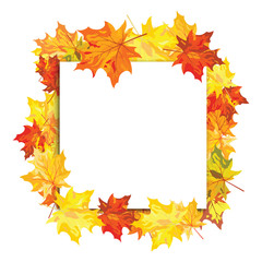 Maple Frame