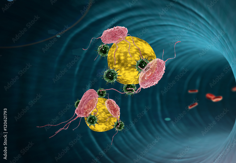 Poster Human Immune System Attack The Virus Macrophage And Fat Cells