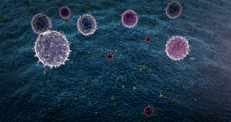 Lymphocytes, lymphocyte generates antibodies, lymphocytes against viruses