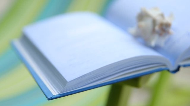 Closeup of shell on open book