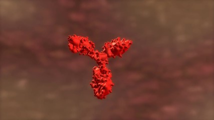 Computer generated, T cell of human antibody, microscopic.	