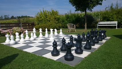 большие шахматы на зеленом газоне в парке