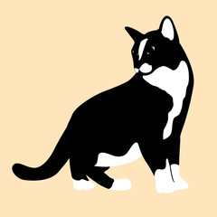 Cat style vector illustration Flat