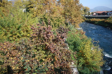 Autumn on the River Strona Piedmont, Italy