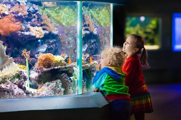 Obraz premium Kids watching fish in tropical aquarium