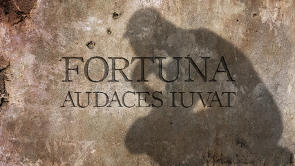 Fortuna audaces iuvat. A Latin phrase meaning Fortune helps the bold.