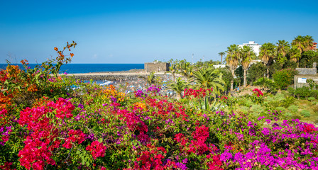 View on beach and swimming pool at the luxury hotel, Tenerife 