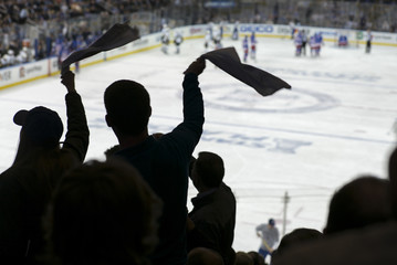 Cheering crowd at a hockey game, Madison Square Garden, Manhattan, New York City. - 120628578