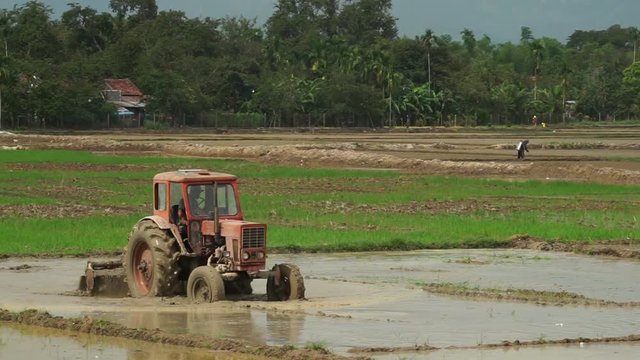 Tractor is leveling a ground with water slowly on the agricultural land in summer sunny day