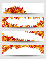 Naklejka na ściany i meble Set of four vector banners with red, orange, brown and yellow autumn leaves.