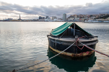 Dalla terra al mare