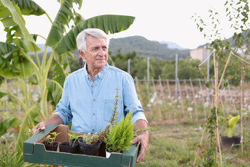 Man holding a carton box with some plants