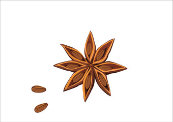 star anise, anise seed