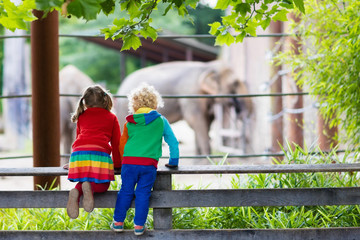Kids watching elephant at the zoo - obrazy, fototapety, plakaty