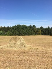 Fototapeta premium haystack