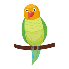 Cartoon parrot wild animal bird. Tropical parrot feather zoo bird, tropical fauna macaw flying ara. Cartoon exotic bird vector illustration.
