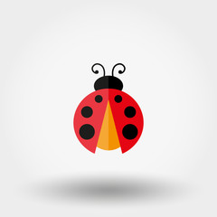 Ladybug. Vector icon.