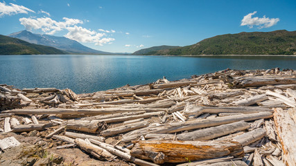 Fototapeta na wymiar View on the crater of a volcano. Beautiful blue lake. Fallen logs in a lake in the mountains. Mount St Helens National Park, East Part, South Cascades in Washington State, USA