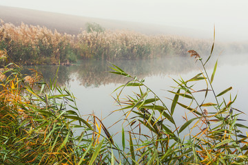 Morning mist on lake