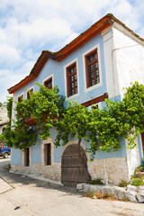  Greek house with vine