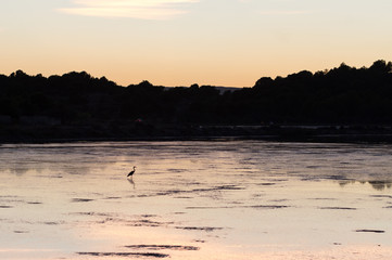 Coucher de soleil sur les étangs de Gruissan 